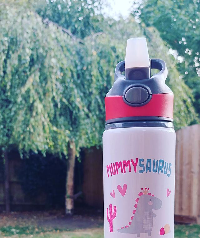 Mummysaurus 650ml Aluminium Water Bottle